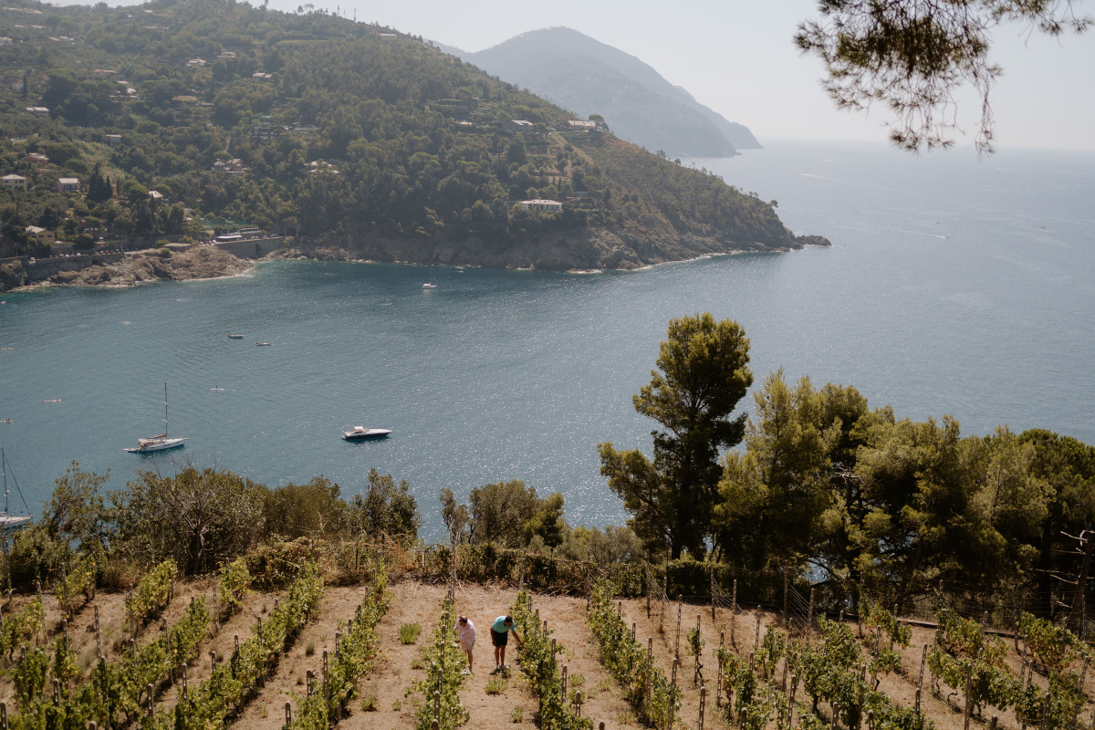 Il sapore del mare e delle colline della Liguria nei vini di Cà du Ferrà