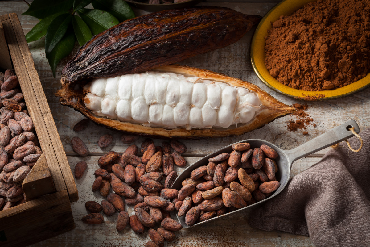 Cacao