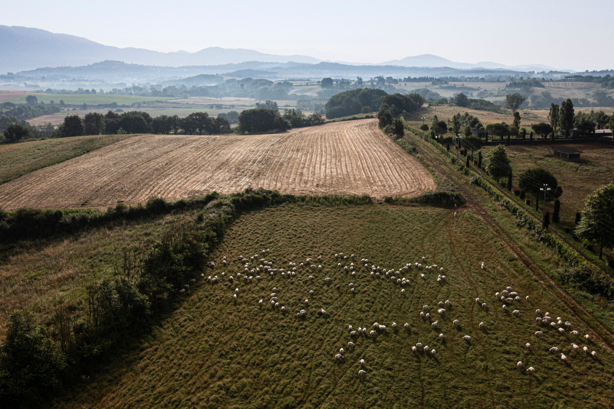 Il cacio di Genazzano diventa ufficialmente nuovo Presidio Slow Food