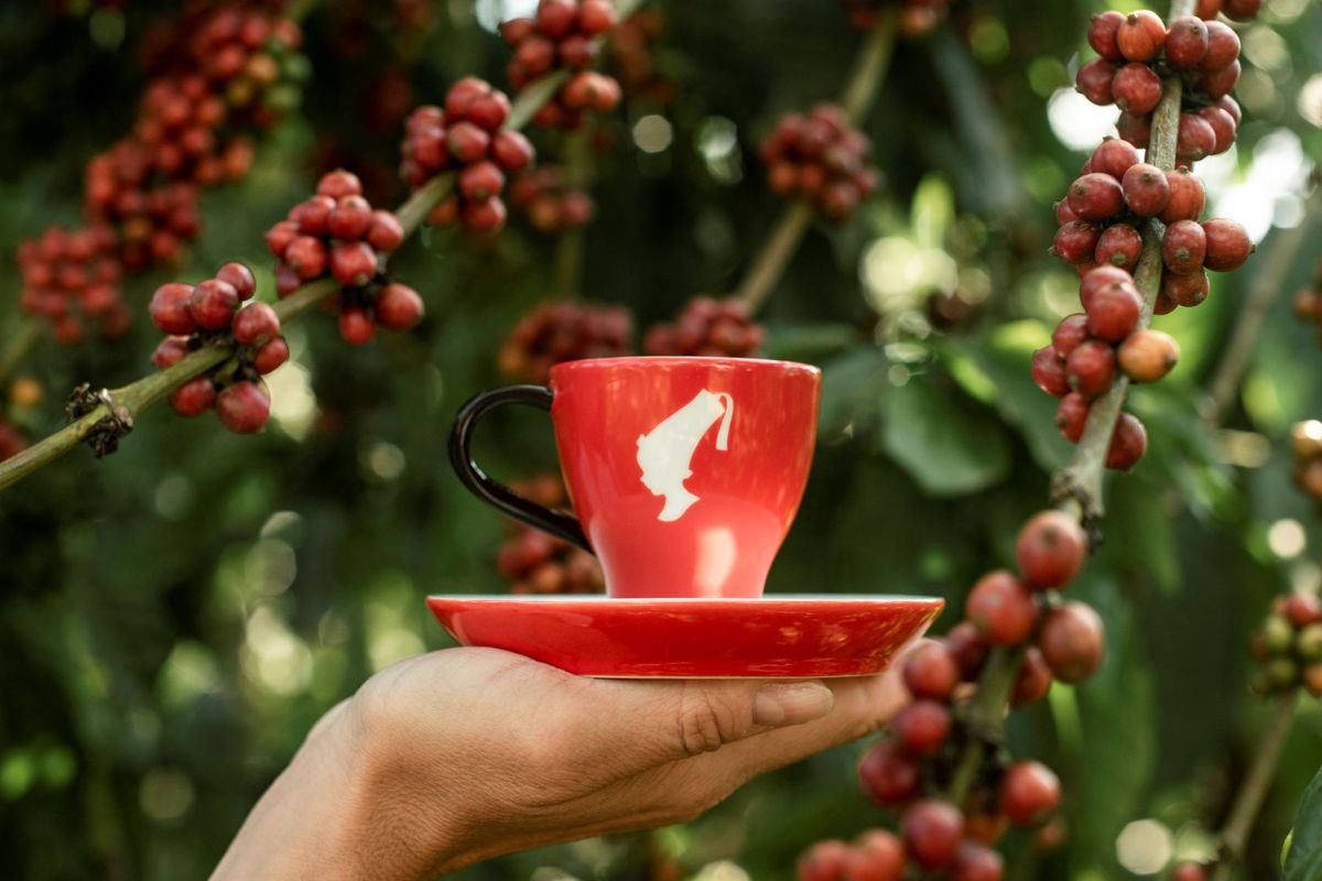 World Coffee Day, Julius Meinl sostiene i coltivatori di caffè ugandesi