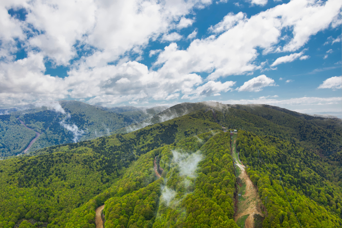 Tanto verde sui monti Calabria, dal mare alla montagna un territorio tutto da scoprire