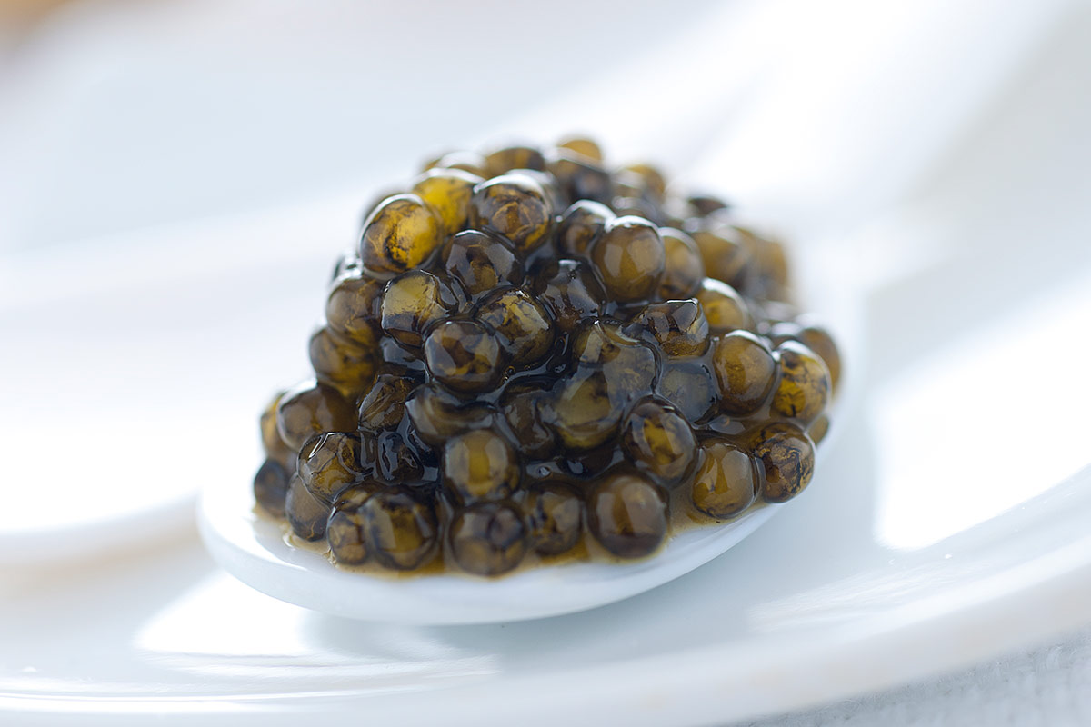 Calvisius, caviale di altissima qualità e sostenibile