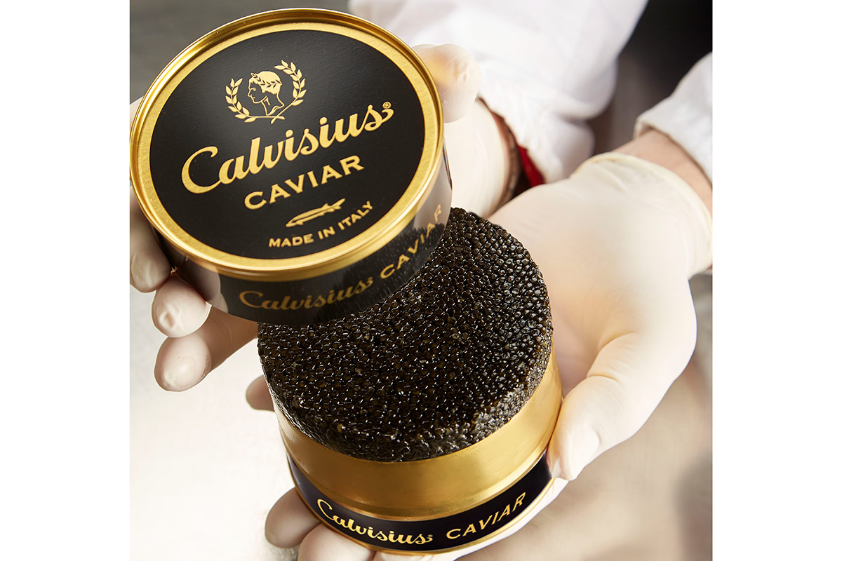 Calvisius, caviale di altissima qualità e sostenibile