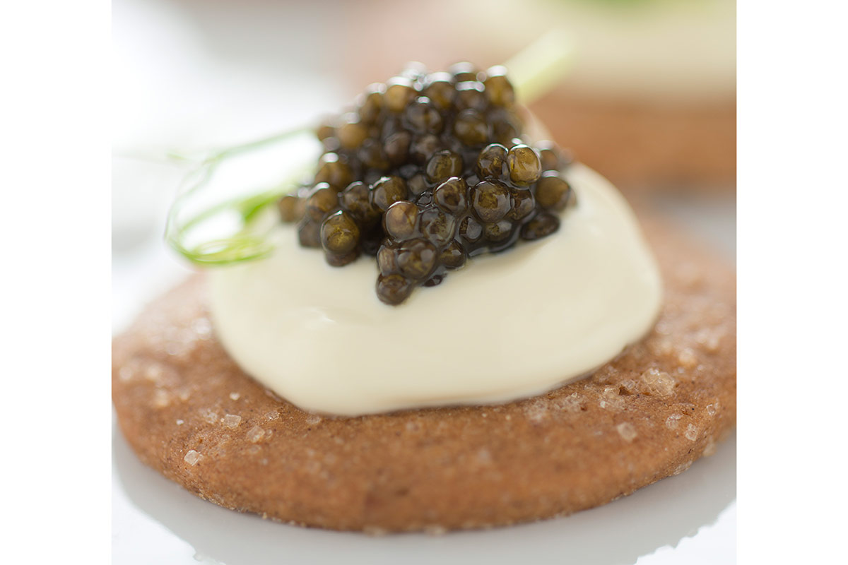 Calvisius, caviale di altissima qualità e sostenibile