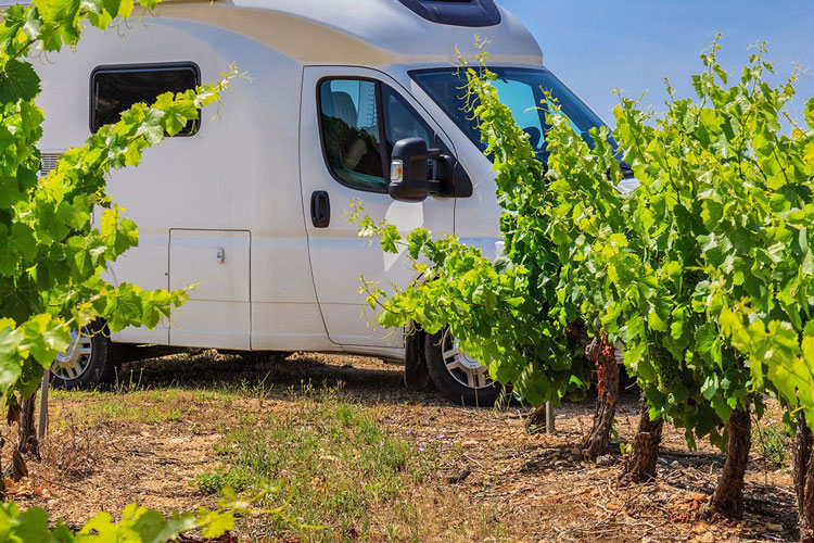 In camper tra le vigne con le Donne del Vino - Boom di vacanze in camper In autunno soggiorni in cantina