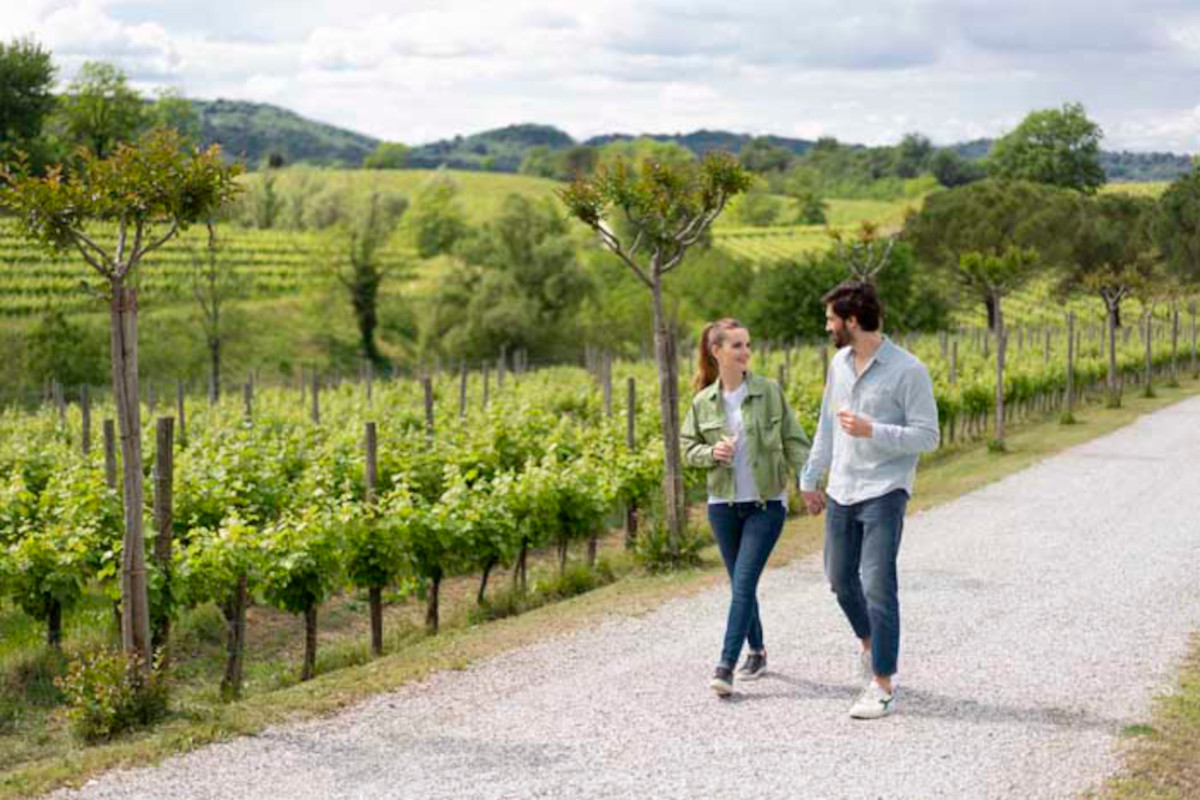 La strada del vino in Friuli La vacanza in camper diventa gourmet. Ecco le migliori proposte