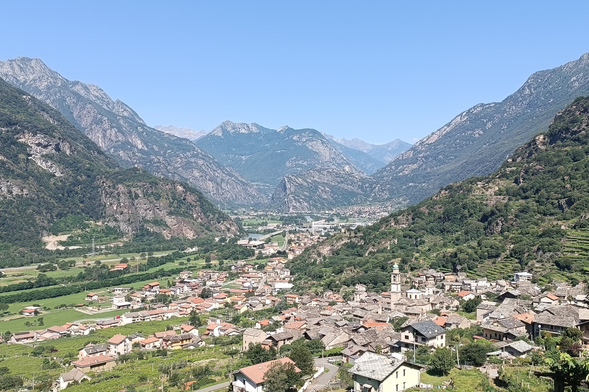 Erbaluce di Caluso: il vitigno autoctono che racconta la storia del Canavese