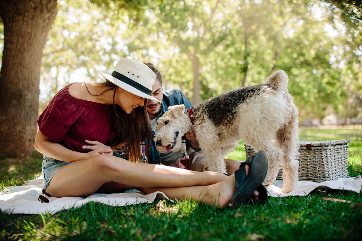 Dog Trekking con pic-nic Dove porto il cane in vacanza? 5 esperienze da provare