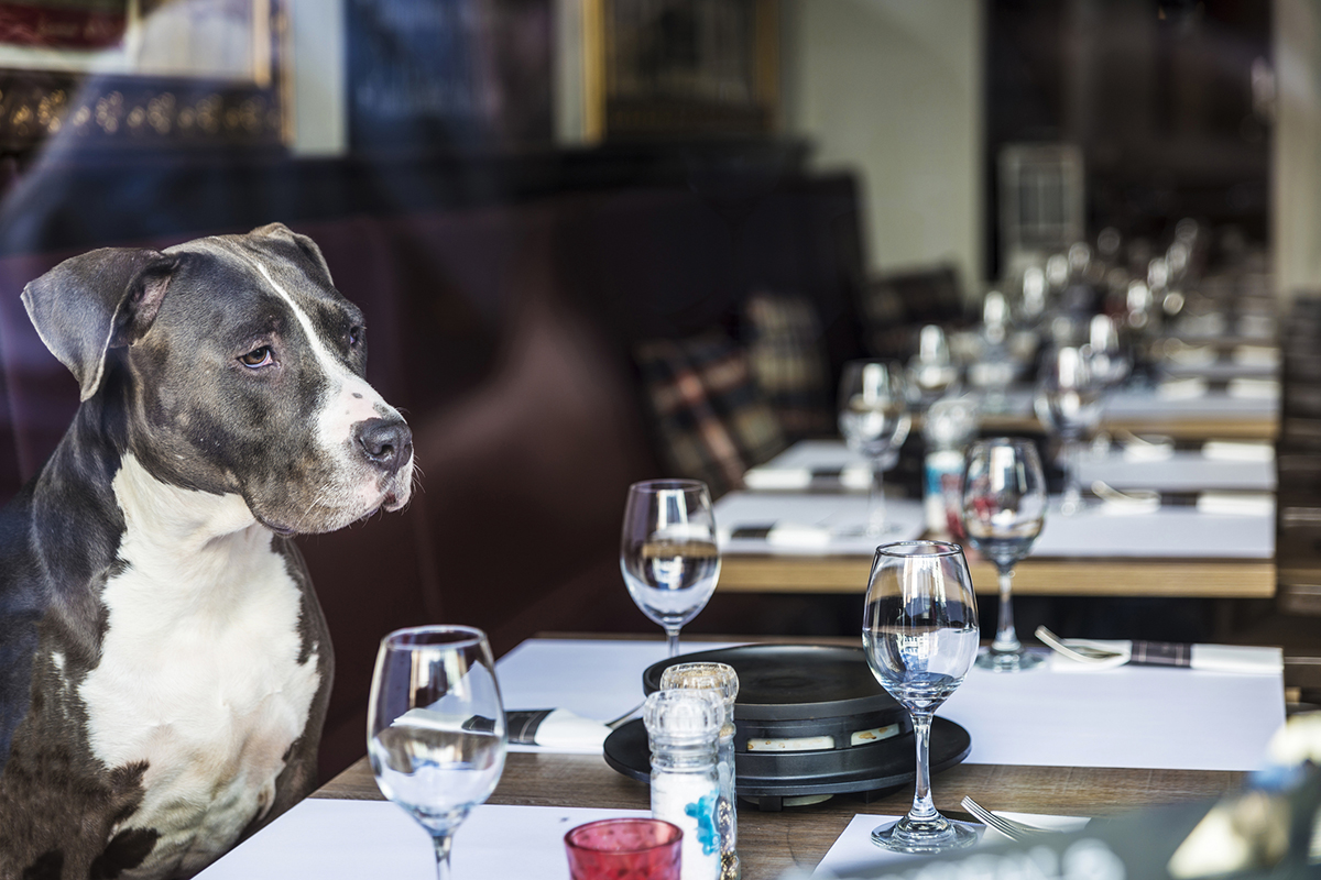 Al ristorante cibo e birra pensati ad hoc 