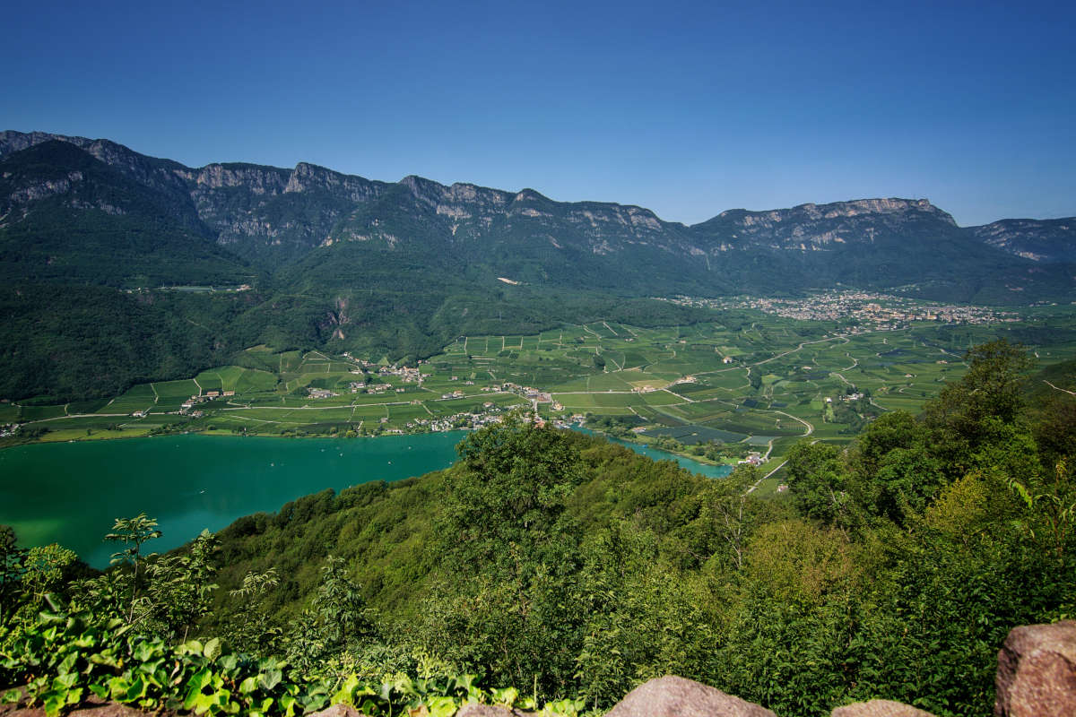 Quintessenz Pinot Bianco e Stern Sauvignon di Kaltern, perfetti con gli asparagi