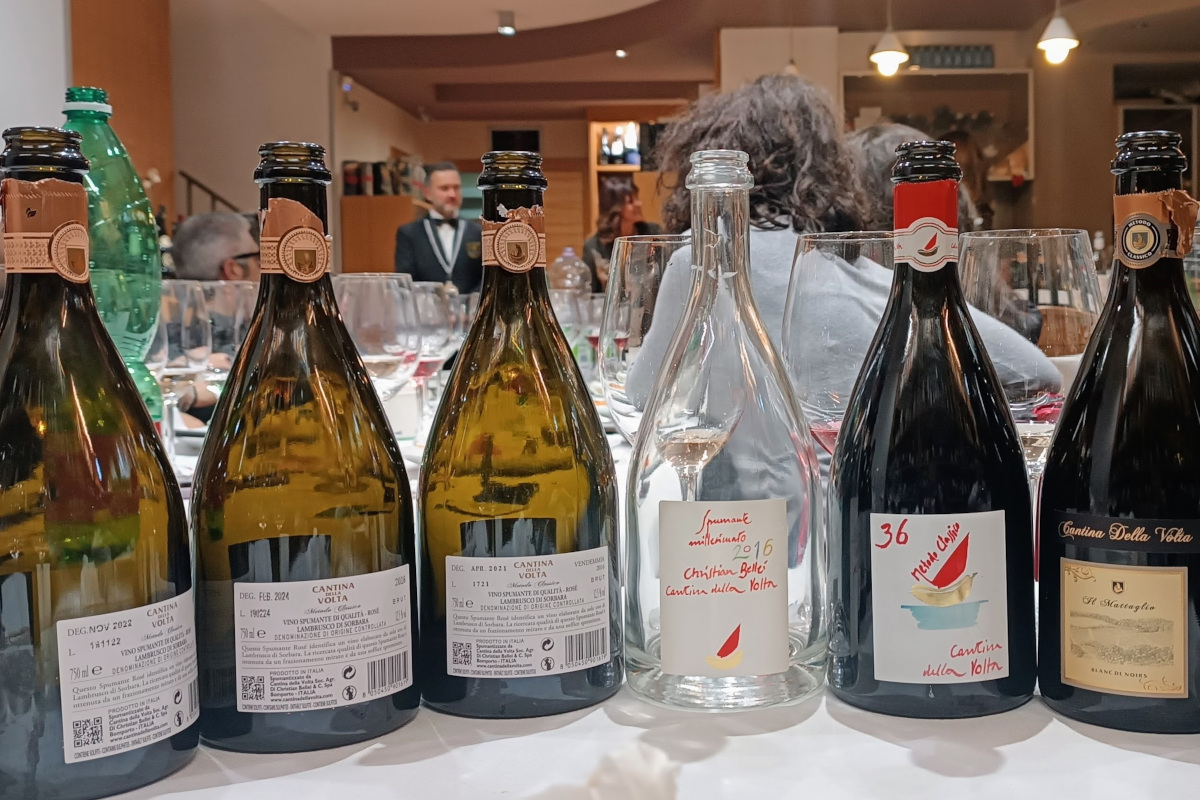 Lambrusco di Sorbara: così Cantina della Volta reinterpreta un classico