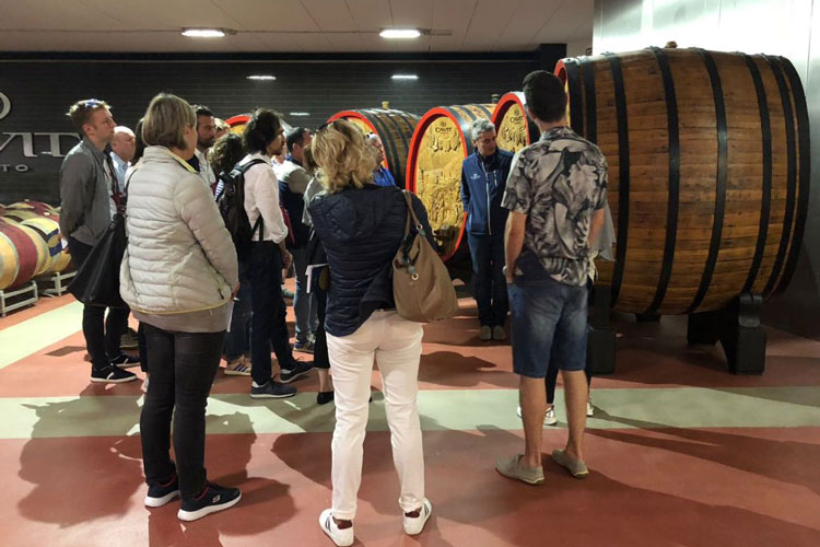 (Cantine aperte nel weekend In Trentino aderiscono in 17)