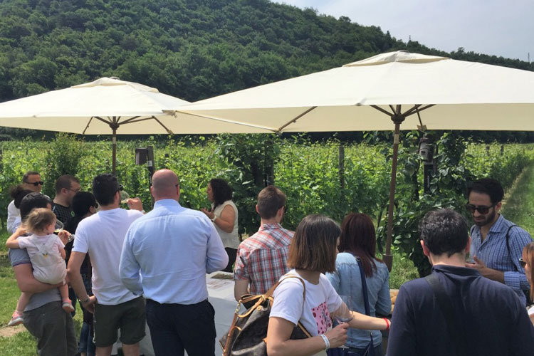 (Cantine aperte nel weekend In Trentino aderiscono in 17)