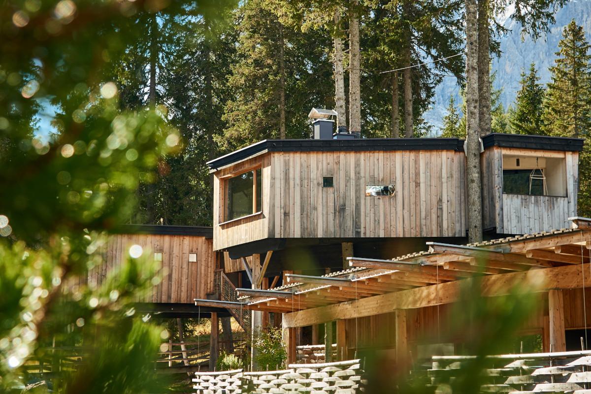 Relax tra gli alberi nelle Dolomiti: l'esperienza unica del Caravan Park Sexten