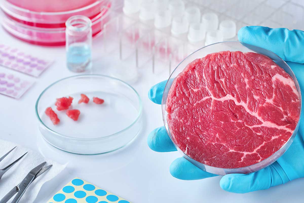 I cibi del futuro: ecco le previsioni di consumo di insetti e carne sintetica