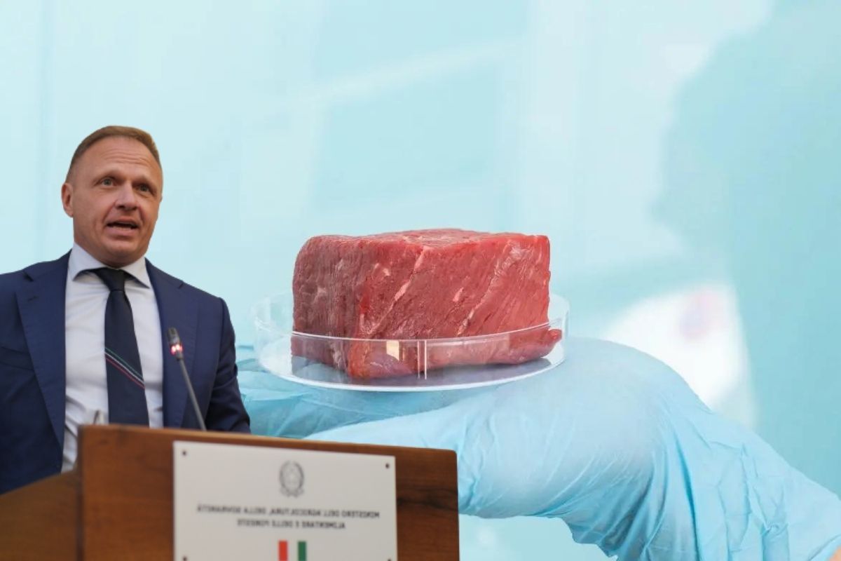 Carne coltivata, dietrofront del Governo sul disegno di legge che la vietava?