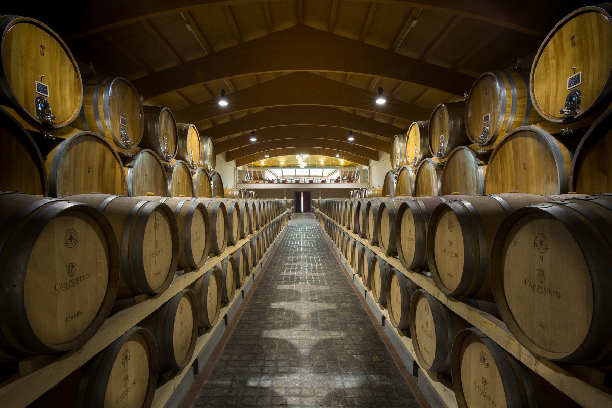 L'archivio enoico di Carpineto, a Greve in Chianti 