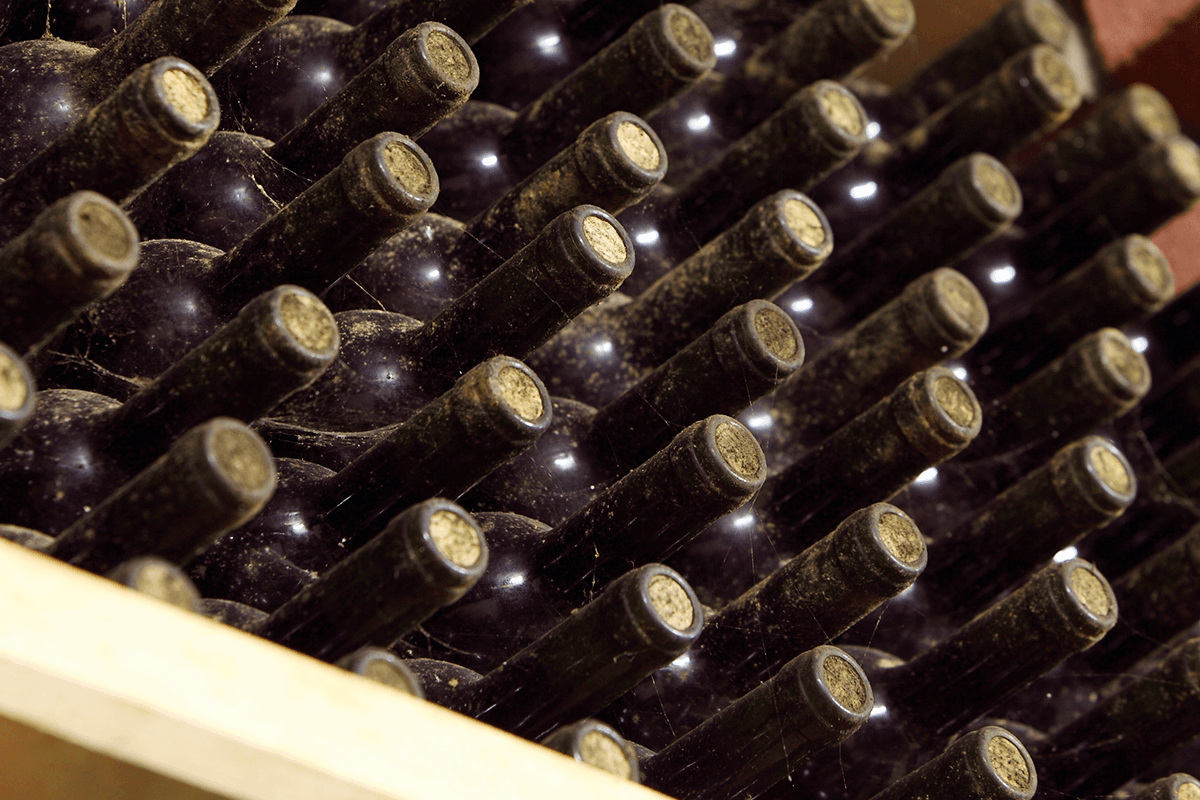 Carpineto: tradizione e innovazione si incontrano per creare vini unici