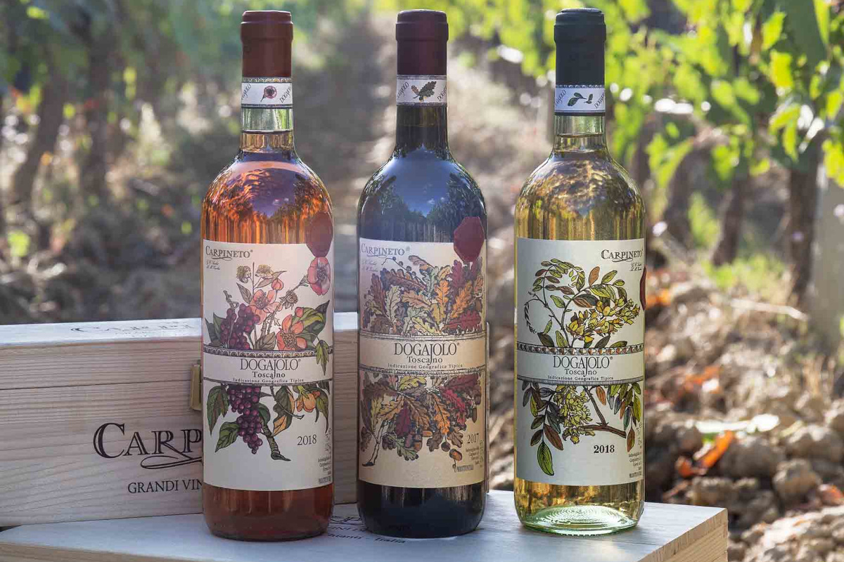 Carpineto: tradizione e innovazione si incontrano per creare vini unici