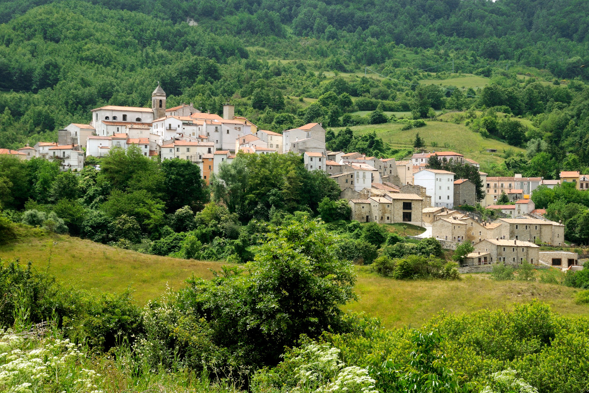 A contatto con il bosco: i migliori hotel d'Italia per una vacanza tra gli alberi