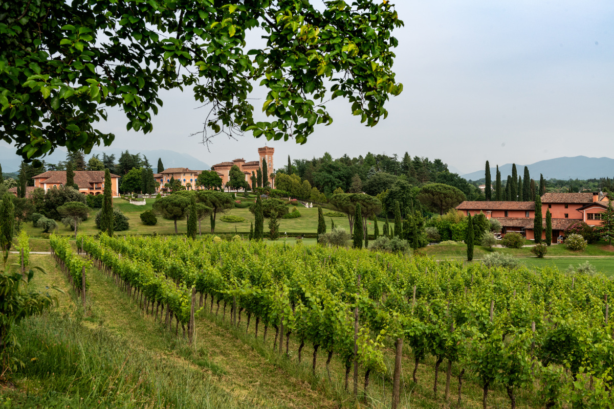 Storia, innovazione ed enoturismo: così Castello di Spessa guarda al futuro