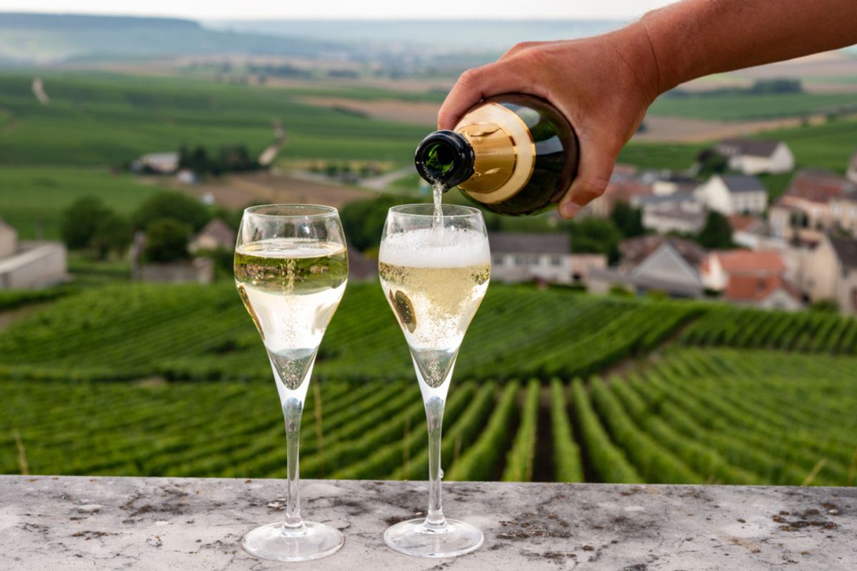 Inizia la vendemmia in Champagne. Previsto raccolto di grande qualità