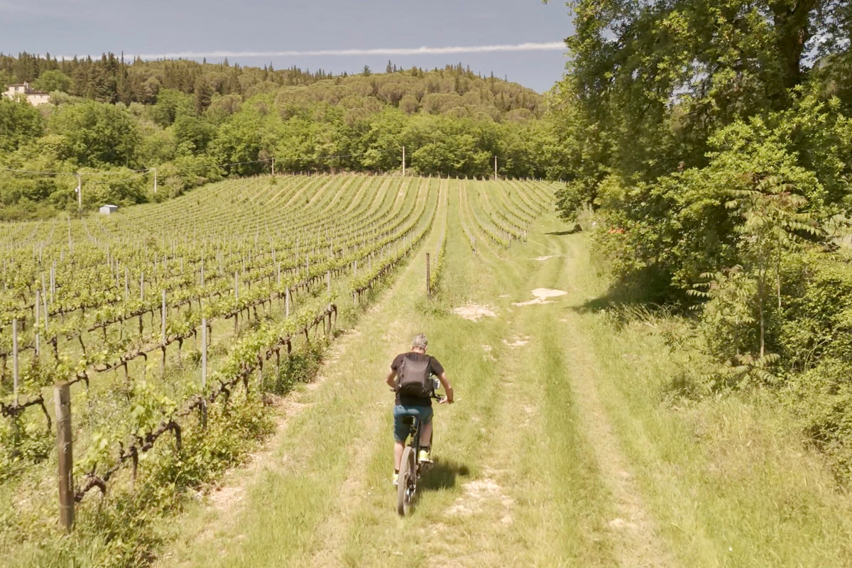 Bici, app e sapori toscani: così il Chianti diventa un paradiso per i cicloturisti Bici, app e sapori toscani: così il Chianti diventa un paradiso per i cicloturisti