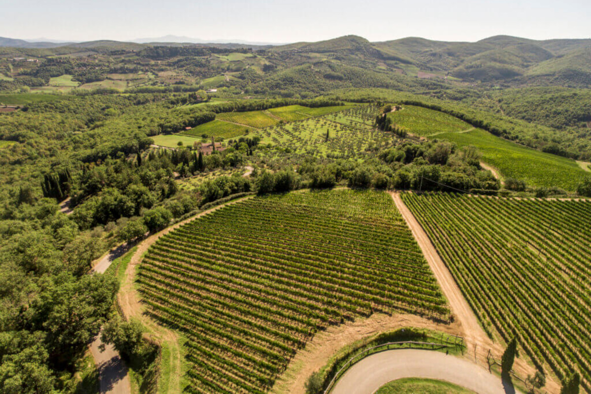 100 anni di Chianti Classico (1924-2024): è il Consorzio più antico d'Italia