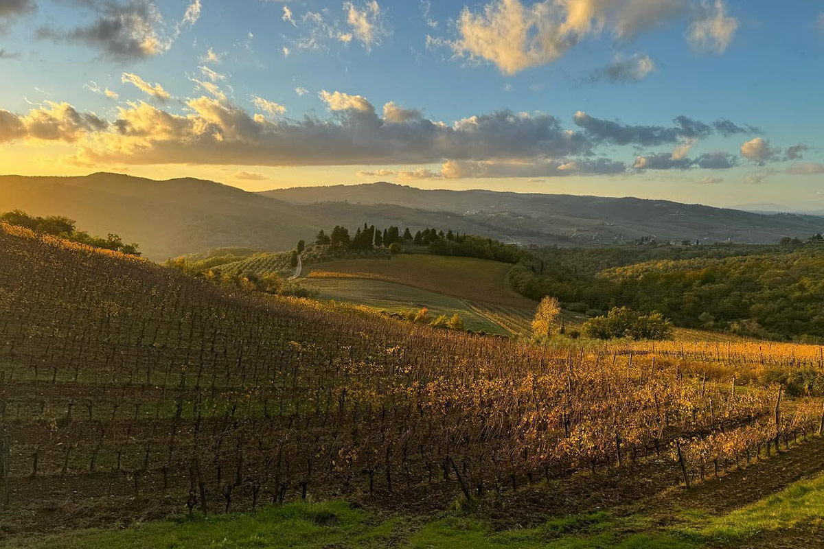 Con le Uga, il Chianti Classico Gran Selezione si fa in undici