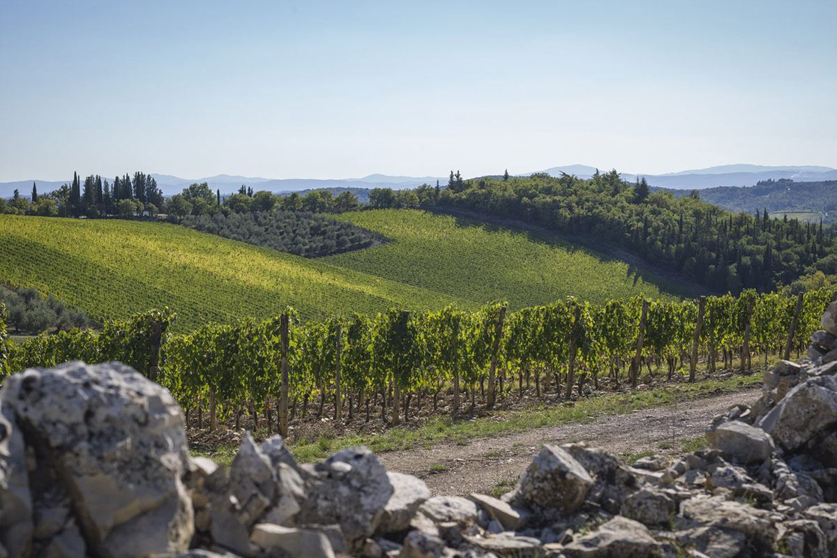 Con le Uga, il Chianti Classico Gran Selezione si fa in undici