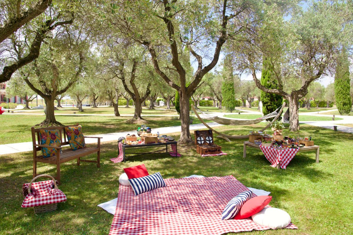 Le alternative per vivere al meglio la giornata mondiale del picnic 