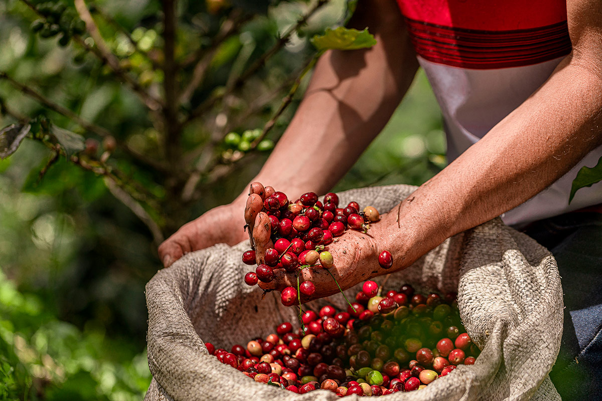 Julius Meinl racconta 'The Originals Bio Fairtrade' insieme a Antonio Bachour