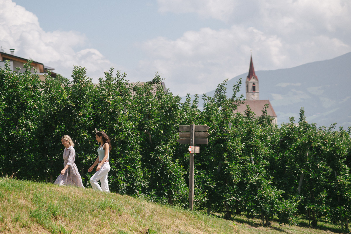 Chiusa e dintorni: tra passeggiate, malghe e vini bianchi da degustare