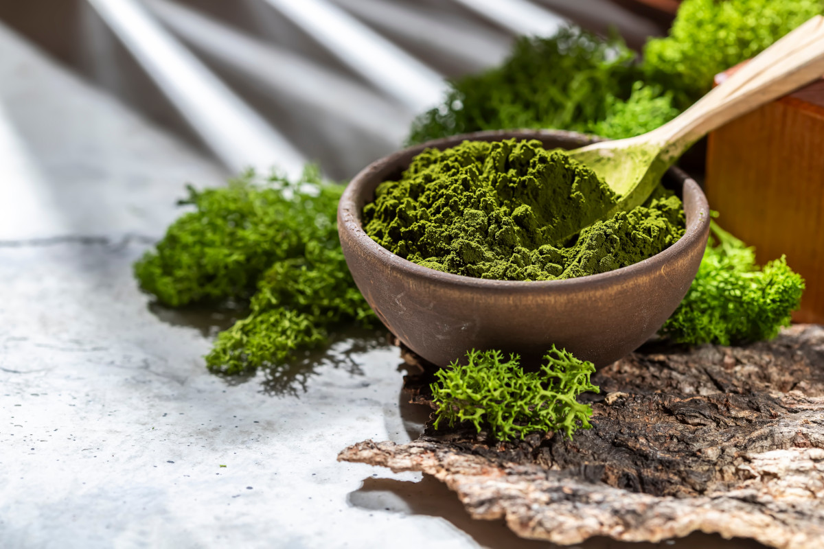 Dal caffè coi funghi alla chlorella: i superfood che saranno trendy nel 2024