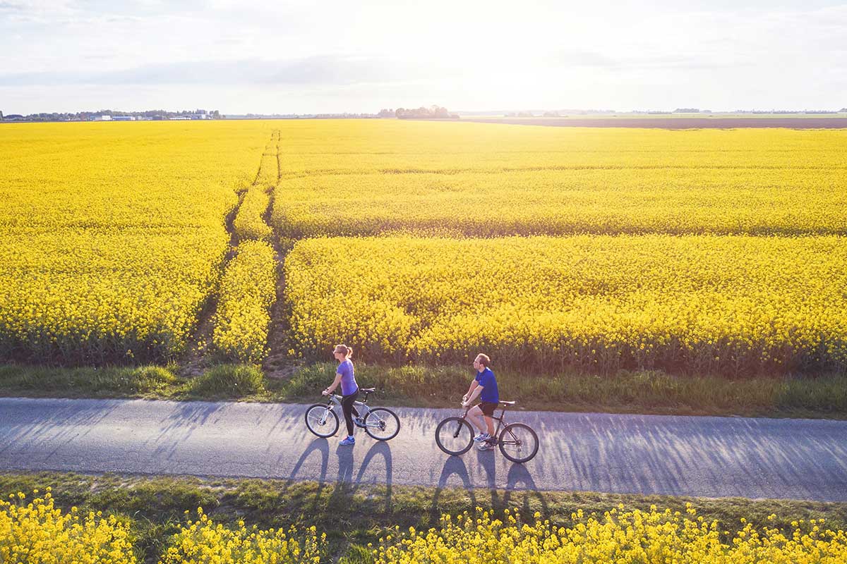 Cicloturismo e buon senso: sulle piste ciclabili meglio rispettare i limiti di velocità Cicloturismo sempre più in voga, ma sulle due ruote bisogna rispettare le regole