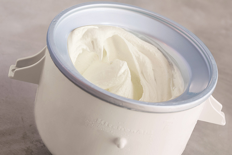 Con la Gelatiera risultati da top  In 30 minuti ricette a regola d'arte