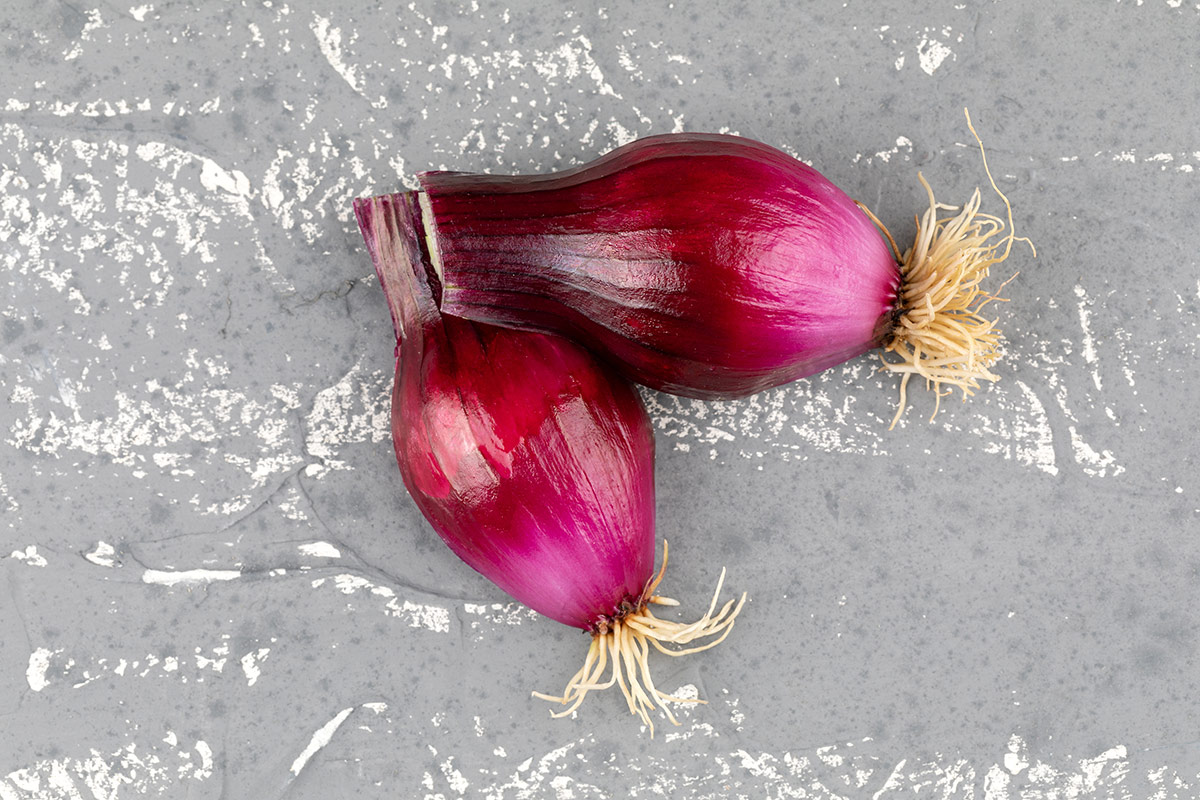 Cipolla Rossa di Tropea Calabria Igp nei piatti delle feste