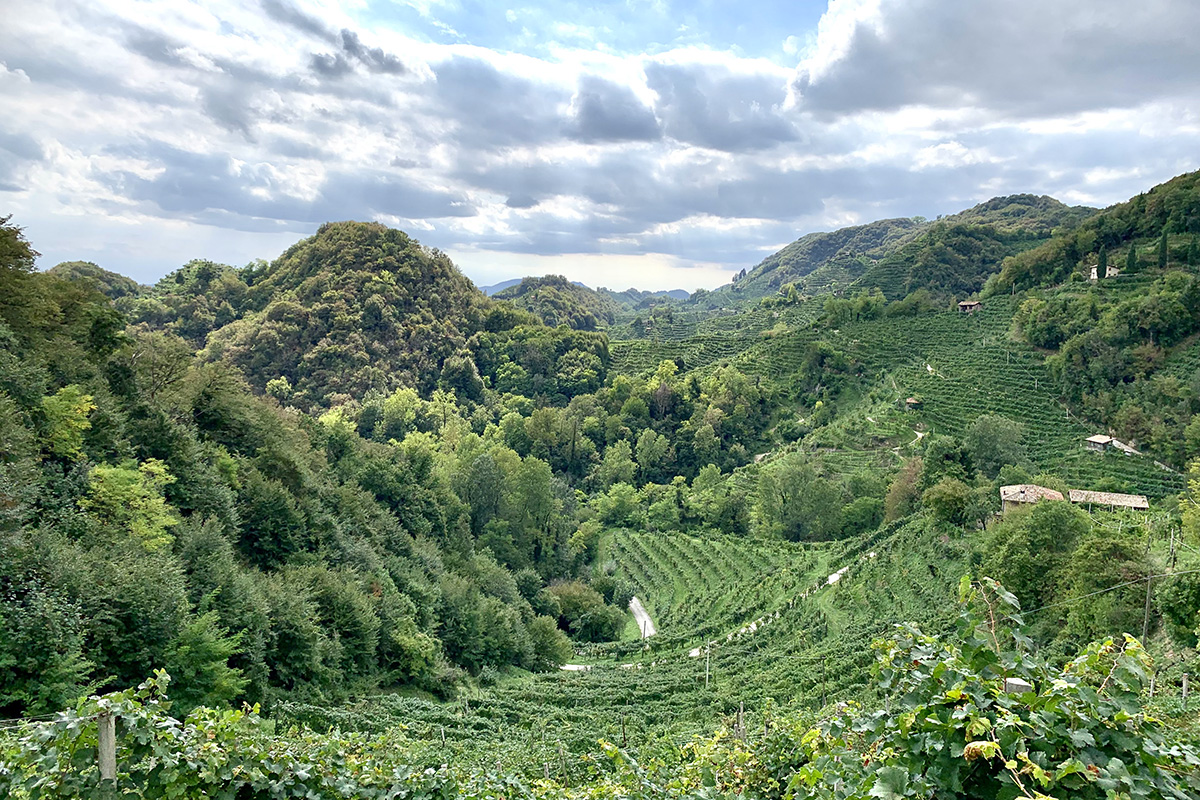 Località Collagù, nel territorio del Prosecco Superiore di Conegliano Le pratiche virtuose di Perlage Winery e Amorim Cork Italia