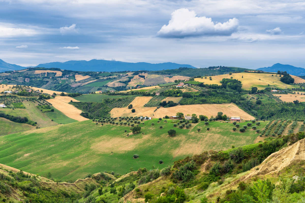 Colline Teramane: il Montepulciano d’Abruzzo in tutte le sue sfumature