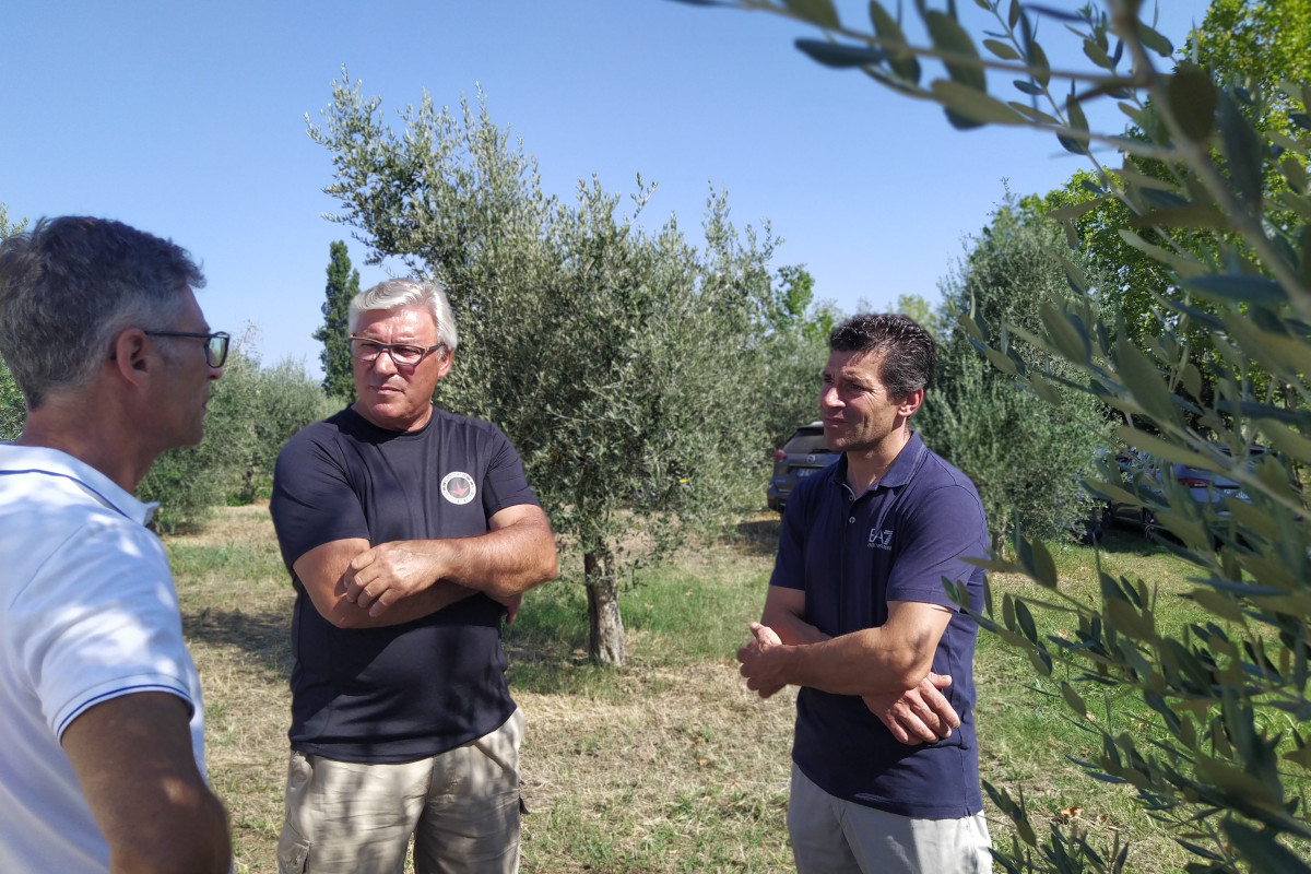 Comincioli, vini di alta qualità a due passi dal Lago di Garda