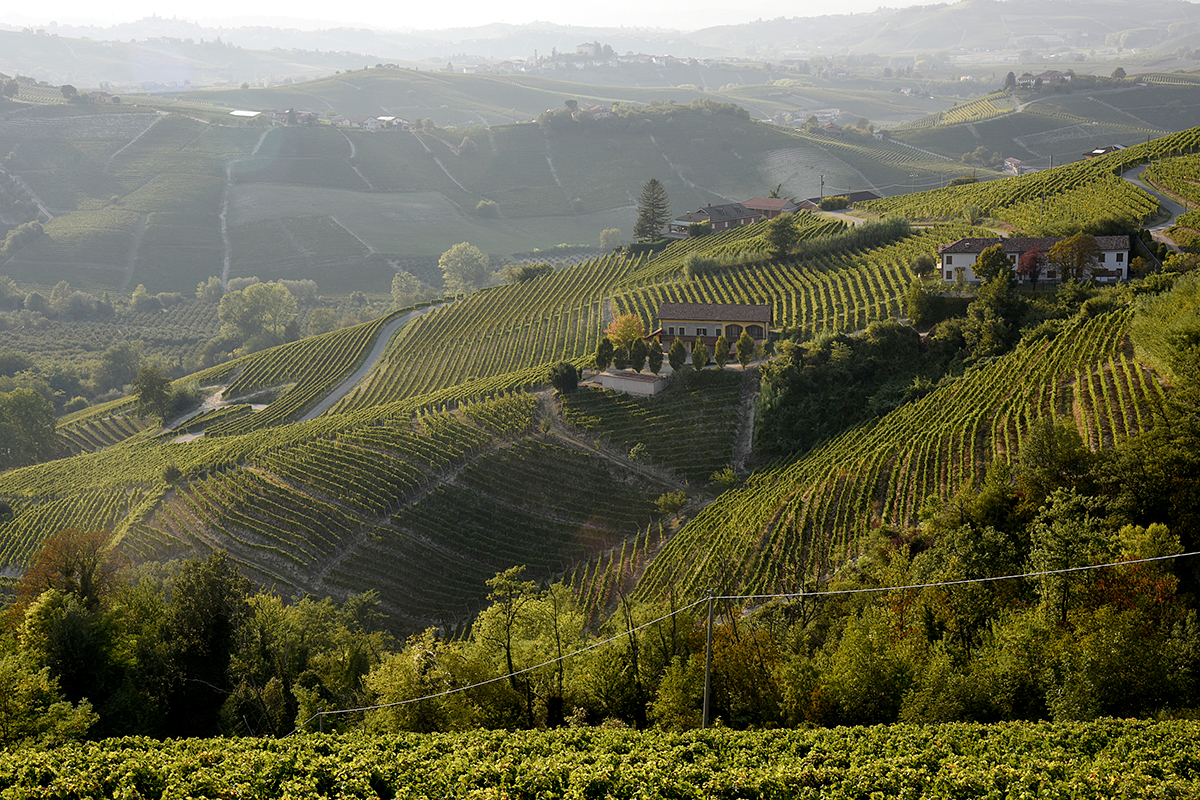 Panorama dei vigneti Asti Spumante e Moscato d’Asti, 90 anni di bollicine