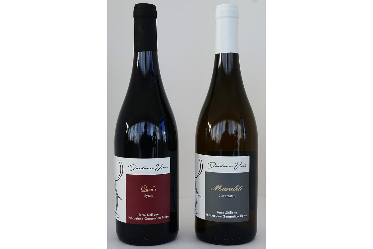 Daidone Vini, un Syrah e un Catarratto da apprezzare