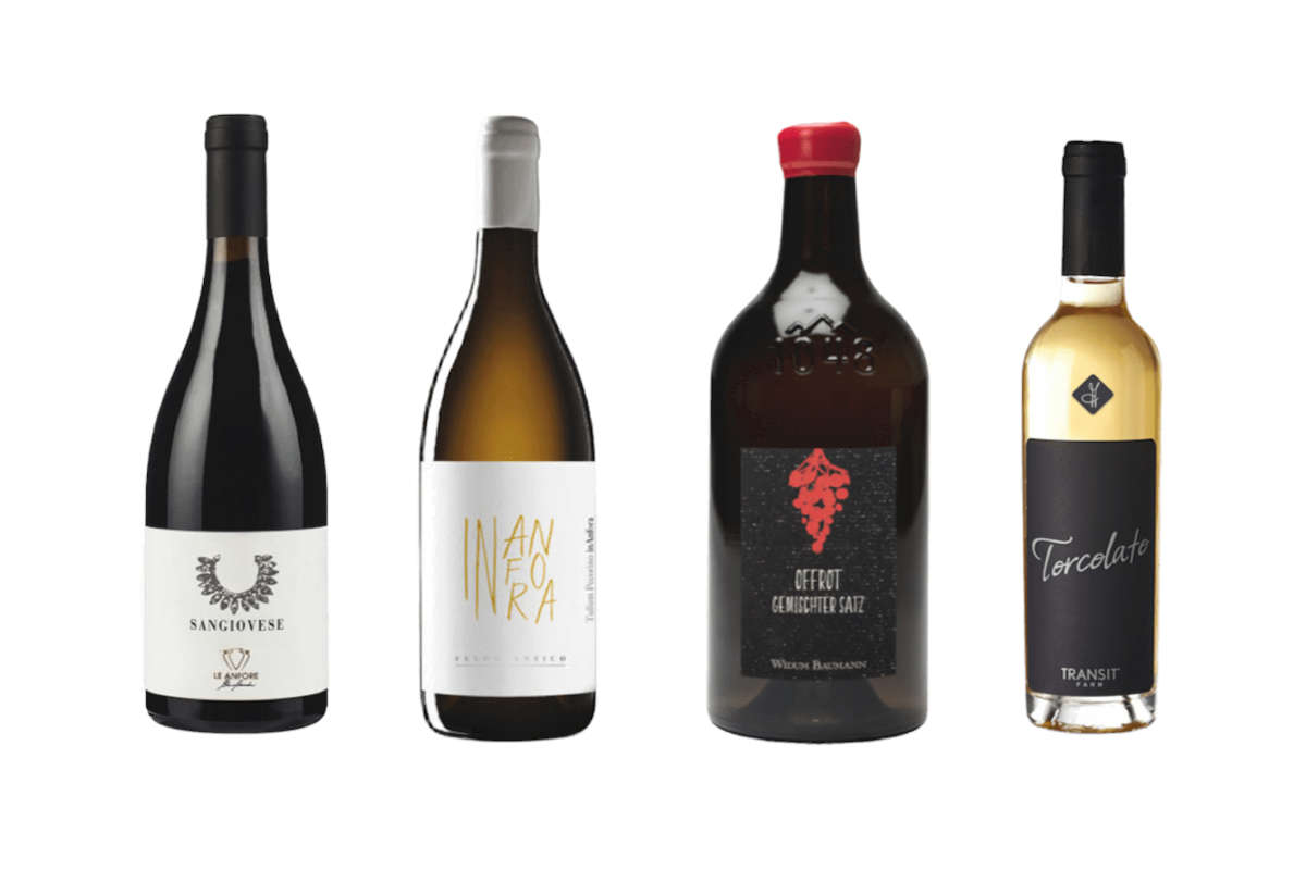 Amphora Experience: una degustazione di 8 etichette italiane Amphora Experience: una degustazione di 8 etichette italiane