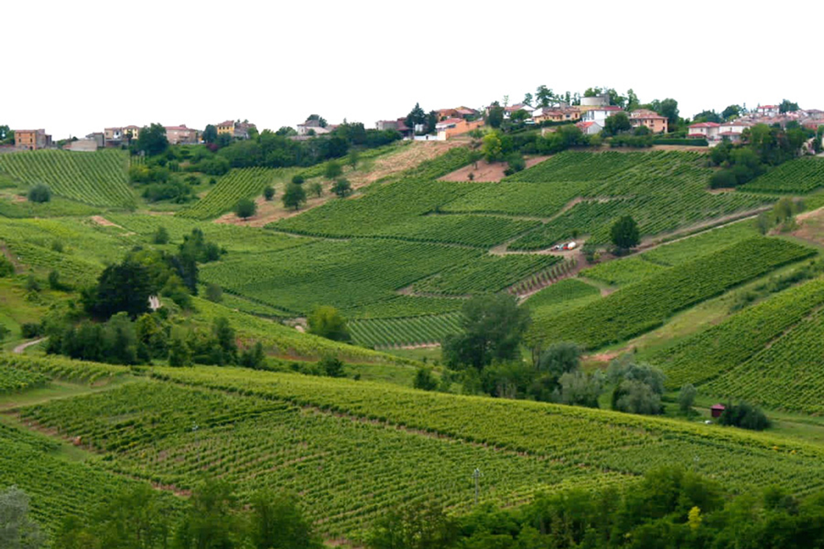 Le colline dell'Oltrepò 