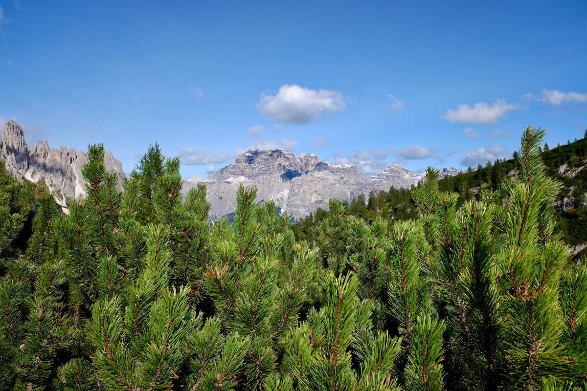 “Modello Venezia” anche in montagna: ticket d'ingresso sulle Dolomiti?