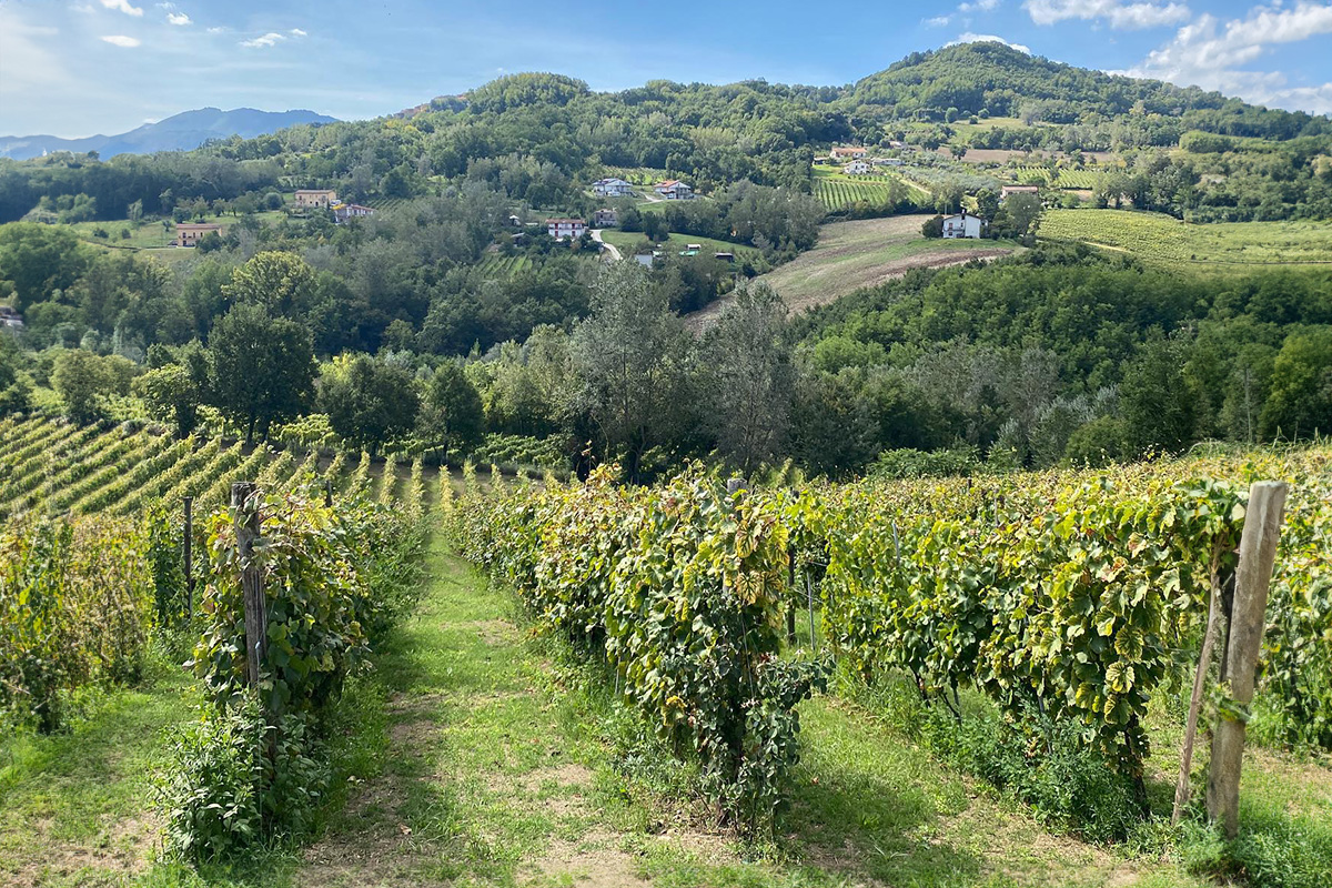 Donnachiara: 200 anni di tradizione vinicola, ma in chiave moderna 