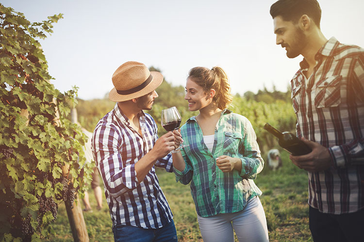 Il futuro è pensare a un enoturismo dedicato ai vigneti più storici Enoturismo, c'è una nuova frontiera su cui investire: quello culturale in natura