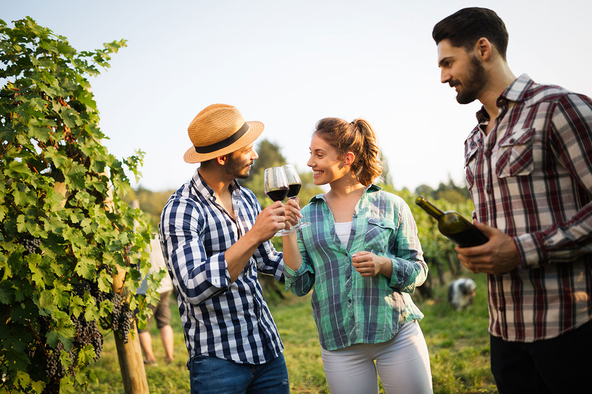 L’Italia è la meta più ambita per i winelover Enoturismo, per il salto di qualità puntare sulla formazione degli operatori