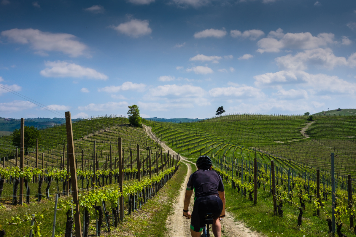 Ecco il ruolo delle cantine nello sviluppo dell'enoturismo italiano