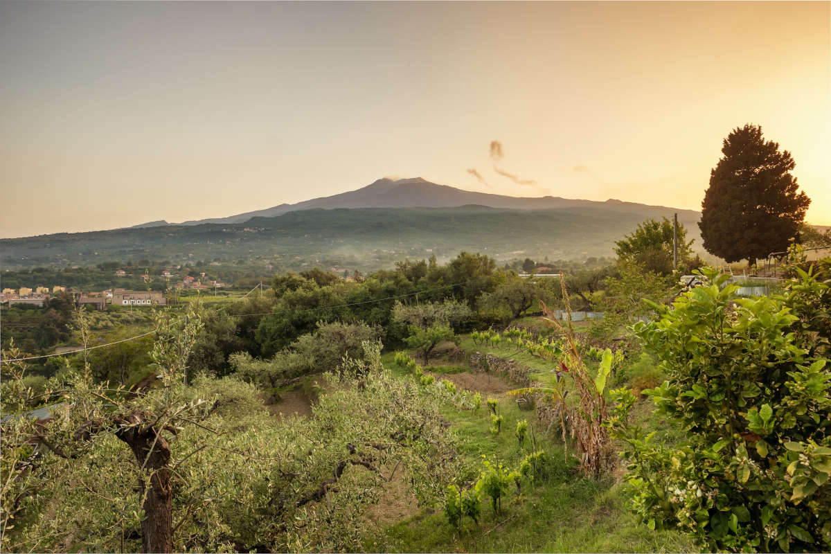 A Santa Venerina torna “EnoEtna”, l'evento dedicato ai vini del vulcano